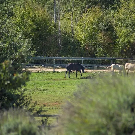 Zu Den Drei Eichen-barat Villa