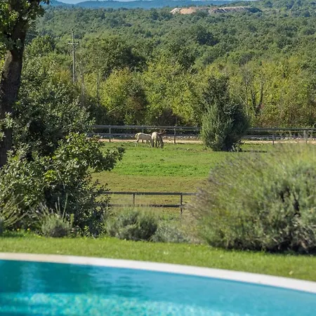 Zu Den Drei Eichen-barat Villa